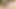 Amatör Sarışın Eş Seksin Tadını Çıkarıyor