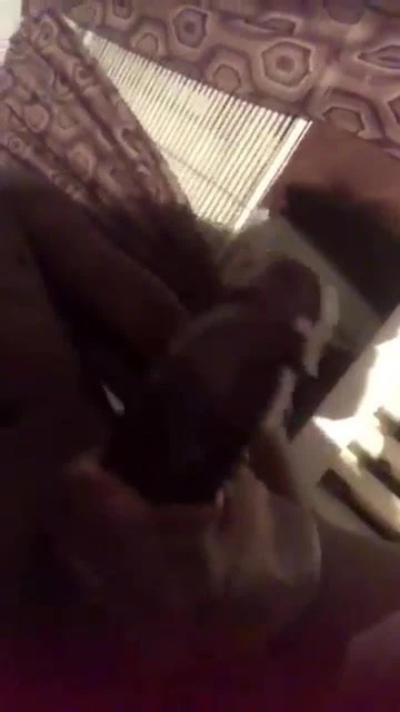 Massive BBC being wanked hard loads of lovely cum