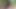 Moans in the Woods: I Saw a Couple Giving Each Other a Hard Outdoors and I Masturbated While Recording