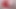クリスマスの乳首フェック、クイック・カム