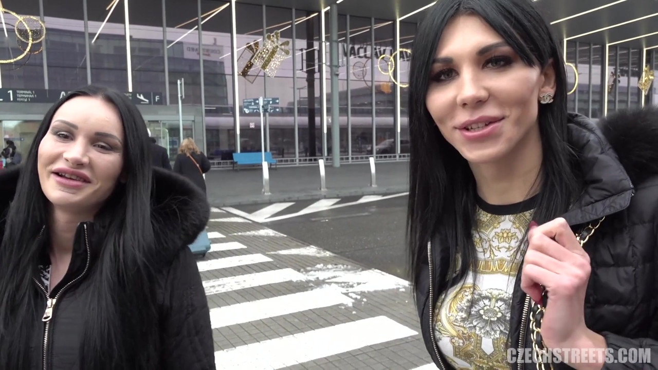 チェコの街 - ディックスとひよこ