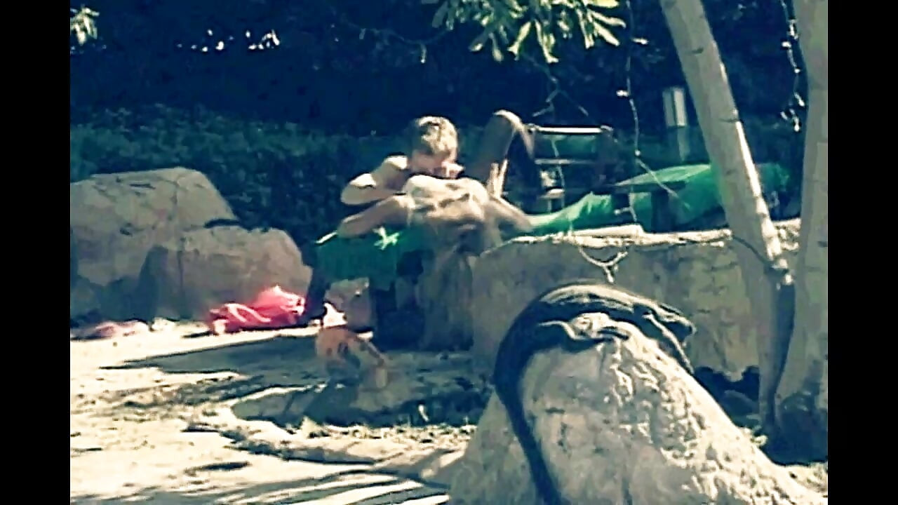 Il sesso vintage termina con l'anale