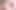 DP Teens Lovers