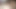 Desi öğrenci kedi ve göğüsler sürtme