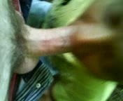 Getting a blowjob in the woods