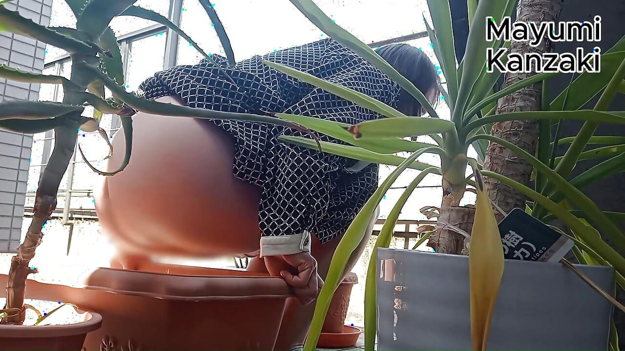 I Pee in the Potted Plant Again