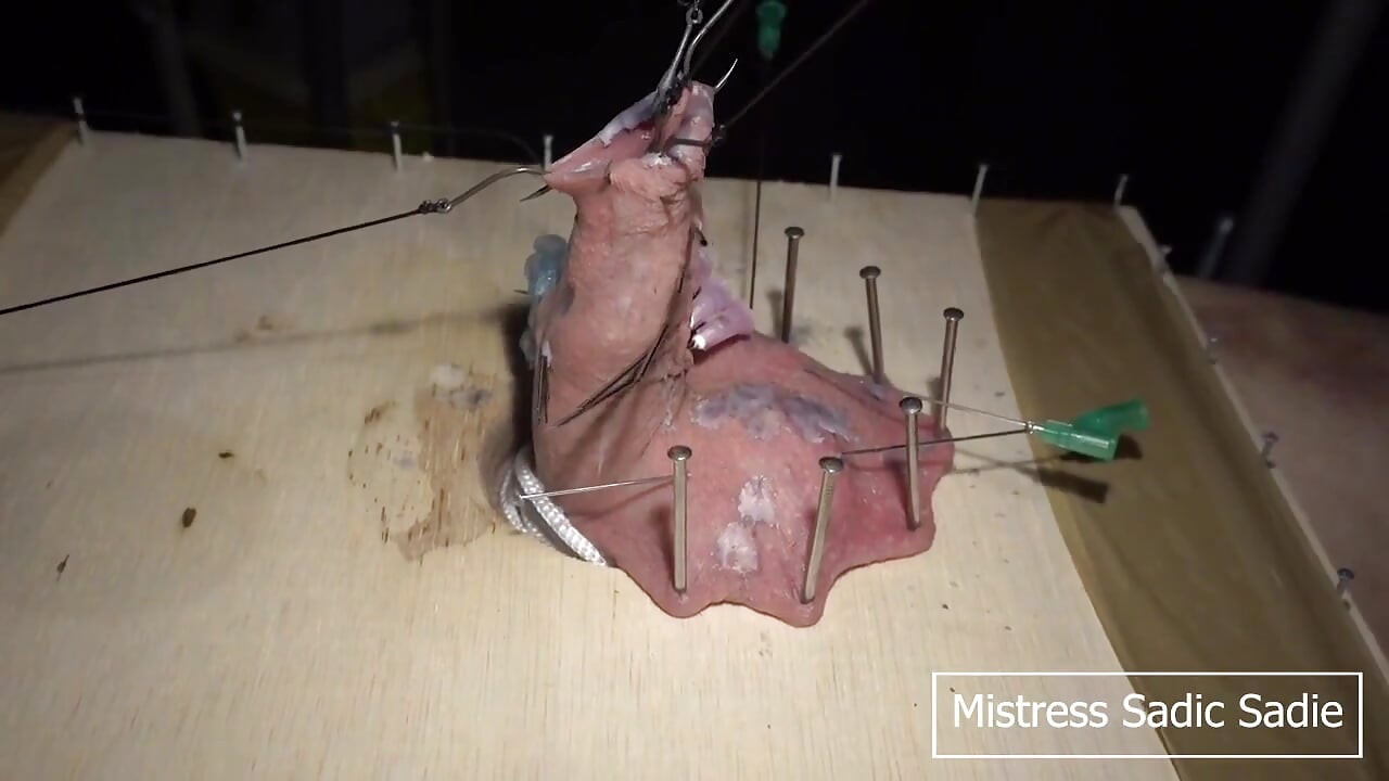 CBT הארדקור עם קרסי דגים ומחטים