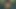 Erkeğimin sikini sert emiyor