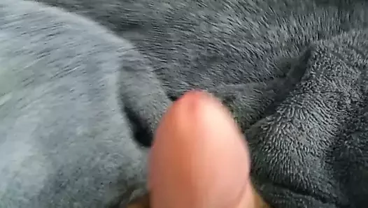 Küçük penisimi mastürbasyon yapıyorum ve taşakları gösteriyorum