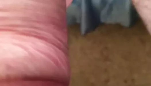 mi polla