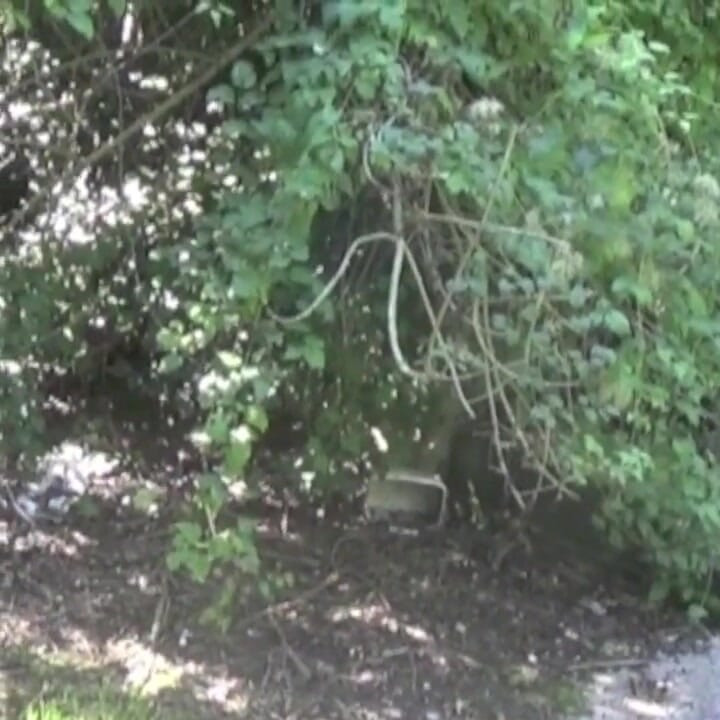 French worker fucked by yougn straight Arab in exhib forest cruising