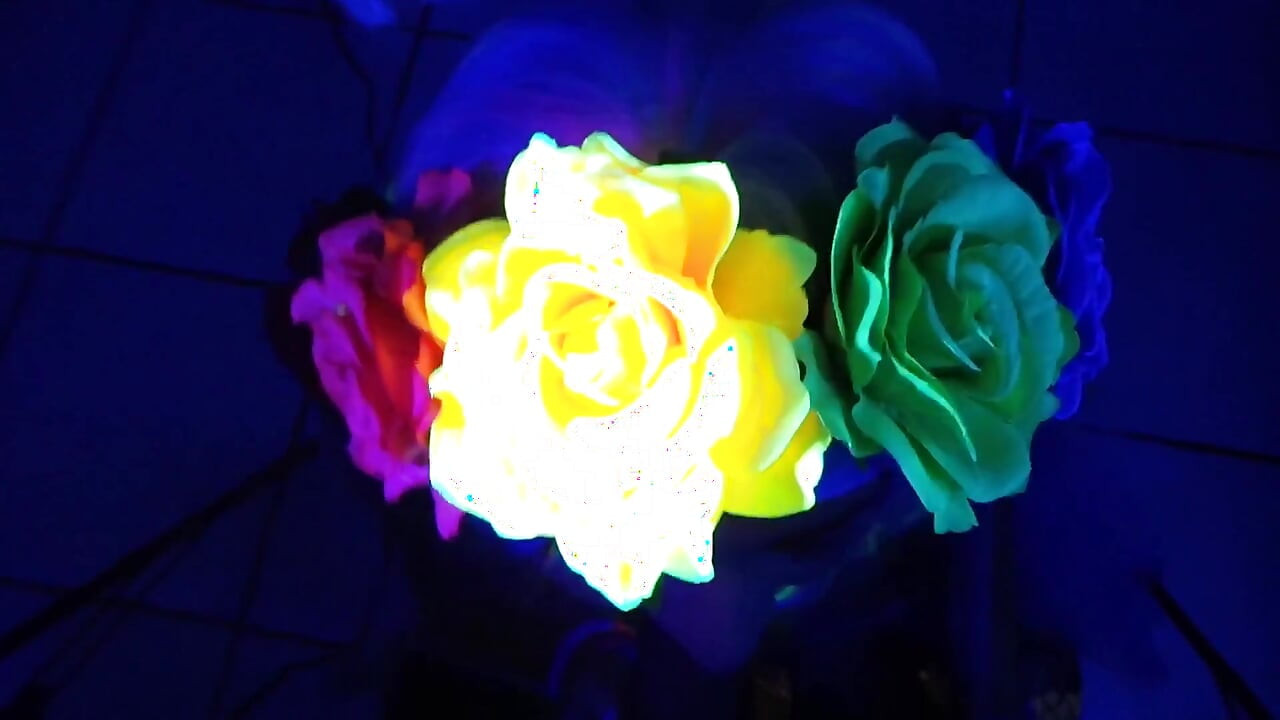 ضوء أسود مص الديك