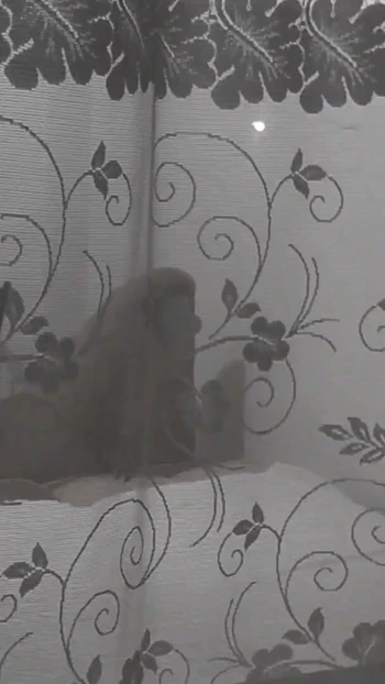 Key moment from "Public. Boy neighbor peeps on masturbating MILF through an opemn window"