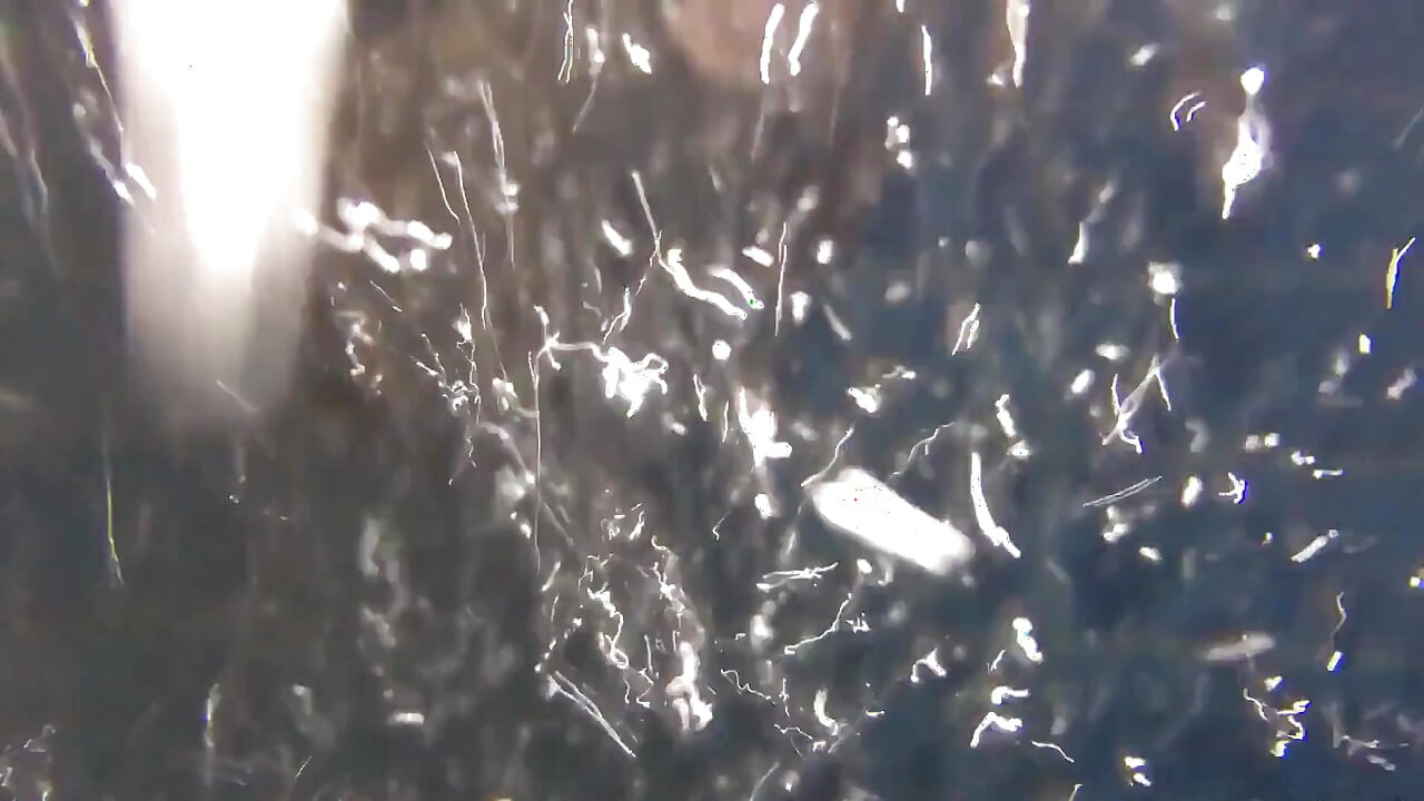 Twink在水下游泳池里用他未割包皮的鸡巴尝试水力按摩喷头