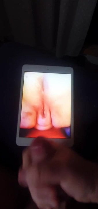 Bbw ex tribute