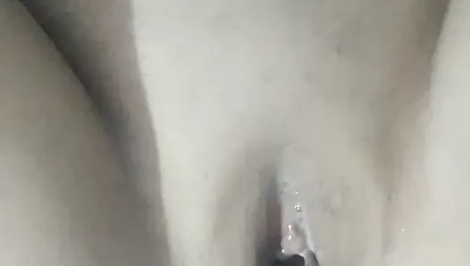 Gaya anjing favoritnya