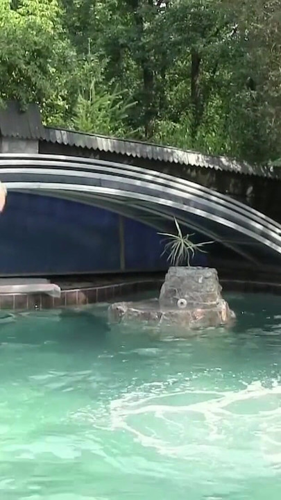 Epic moment from "Zwei heisse Junge Lesben spiele mit sich am Pool und besorgen es sich"