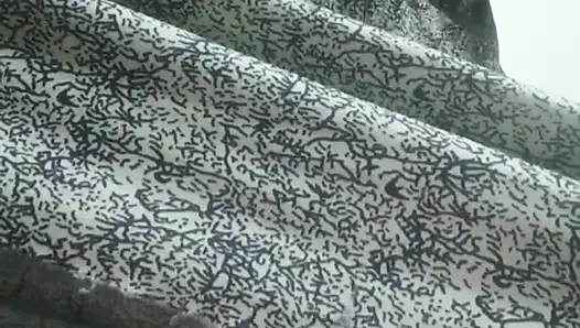 Desi Schönheit im eleganten kleid - langsam necken &intensives solospiel - kein gesicht - 4K ultra HD