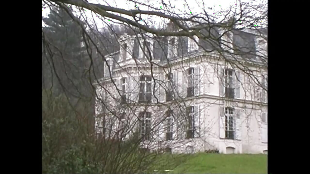 Požudna kuća Todois (film)