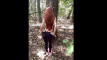 Pregled videozapisa