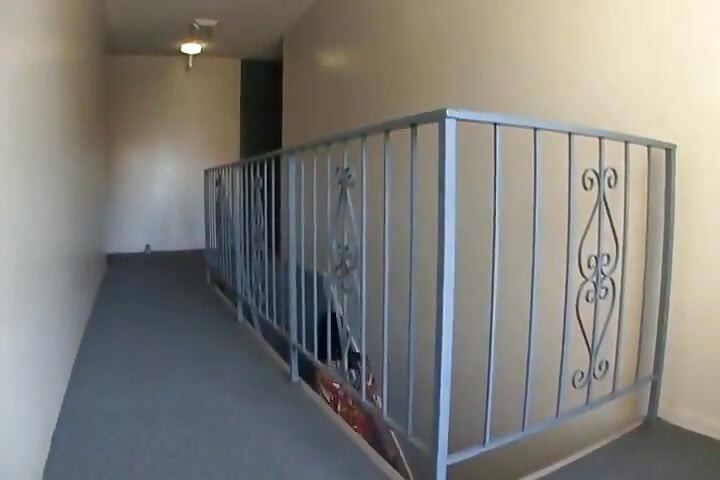 Napaljena drolja jede spermu nakon što jaše veliki kurac na podu