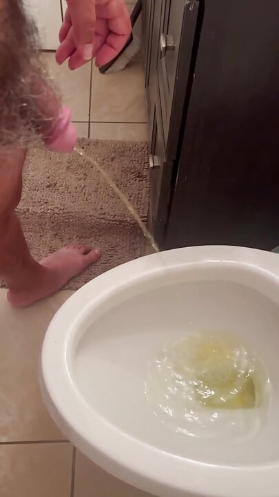 Pissing in the Restroom at Home