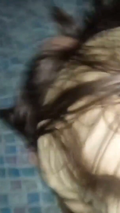 After her classes my girlfriend gets very horny and slutty, we ended up fucking and I cum in her ass. | Clip 1