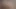 Ich und meine geile haarige fotze - willst du ficken ?