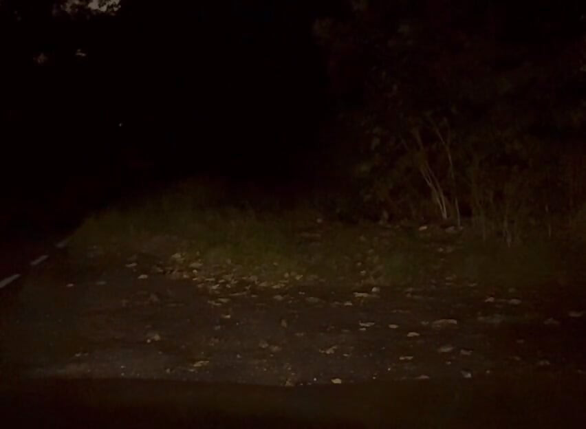 Wanking naked outside in road , few cars pass