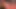 Here I jerk off on my wife's hot red lace bra (80 D)