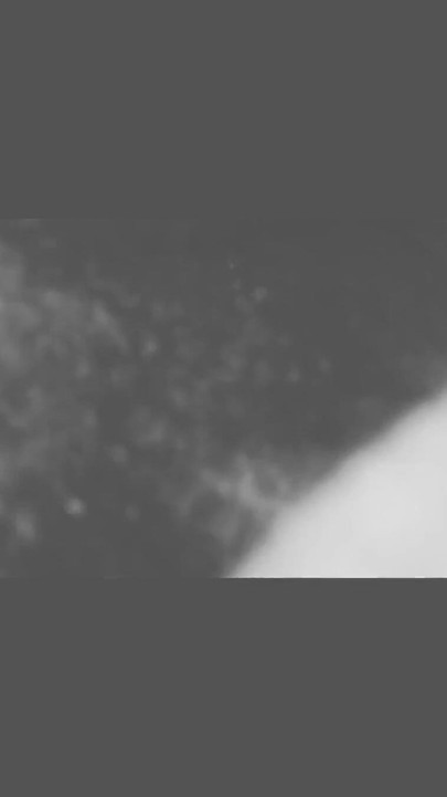 Fucked the maid in his own house | Clip 1