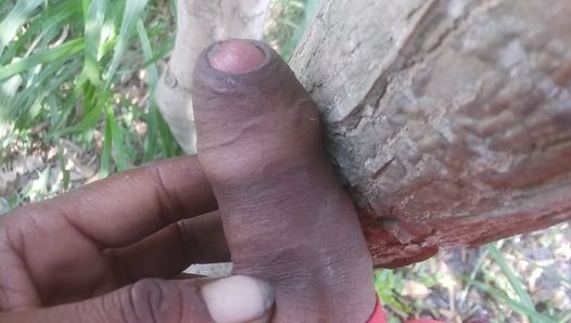 Première vidéo de sexe dans un arbre en hindi