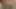 إذا أريتني عاريا ، فستظهر بالتأكيد لأول مرة في اليابان.