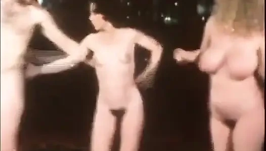 Klassische Porno-Dvds Rückzug West Teil 1