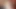 House cat gives the sweetest blowjob to the camera