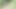 A Russian nudist walks around completely naked in nature