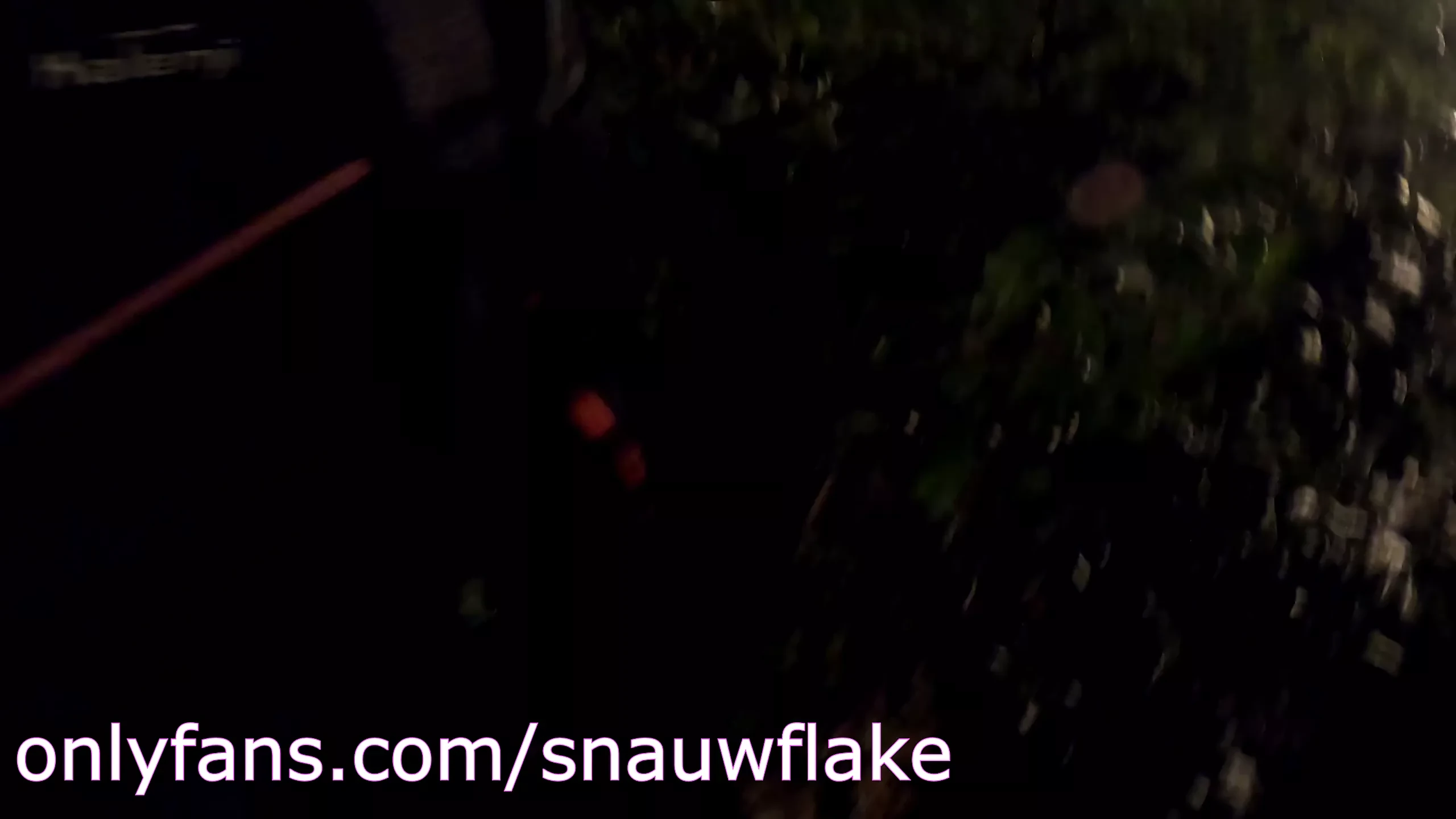 Twink este futută fără prezervativ în public noaptea în parc
