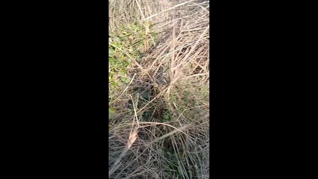 Indian Village Outdoor Highway Road side sex 2023