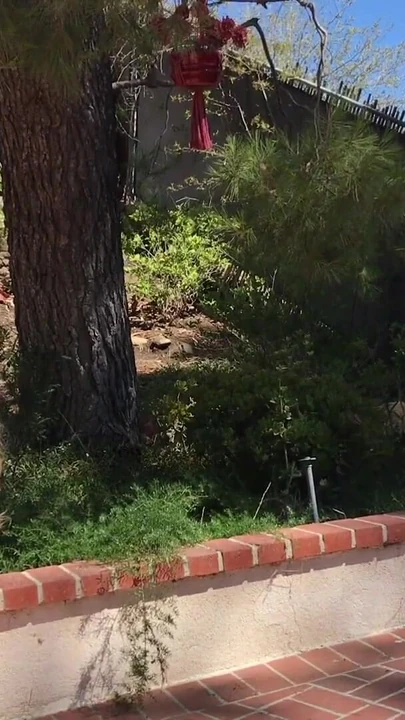 Stunning moment from "MILF in the yard fuck peeping neighbor"