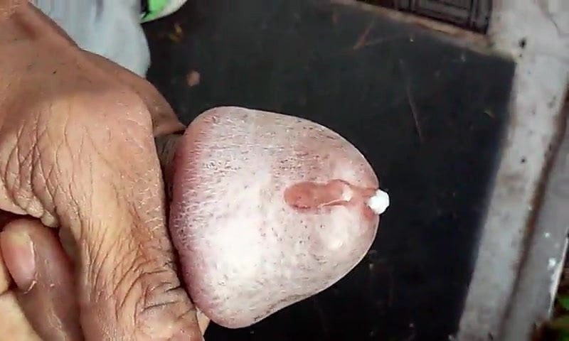backyard stroking