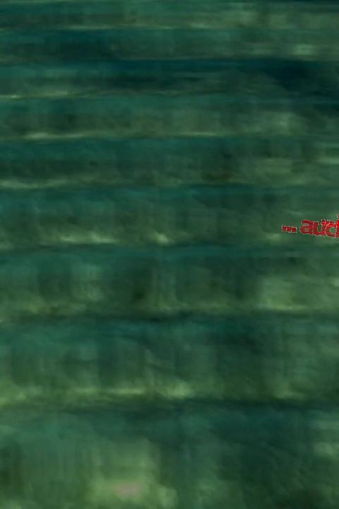 Dia mengejutkan suaminya dengan memek lain