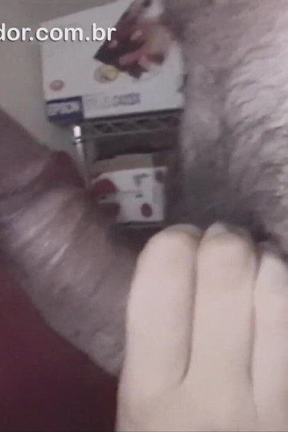 Udata žena puši kurac svom ljubavniku u domaćem POV videu