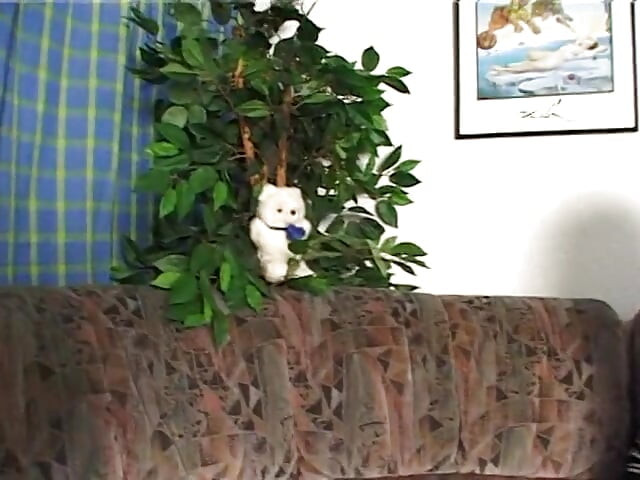 O matură sexy drăguță și dorințele ei de pizdă