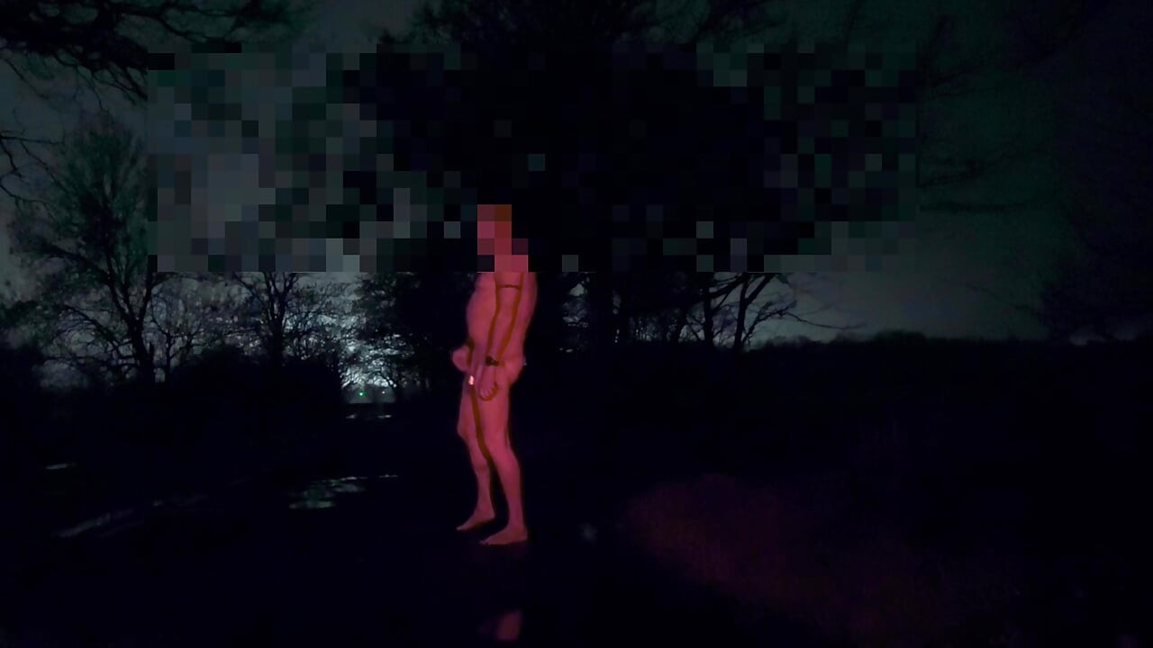 Zieh dich aus und wichs mich auf der straße öffentlich