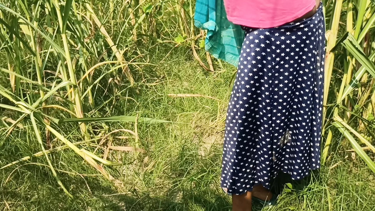 村姑去甘蔗田里撒尿。不认识的男孩在婚前操了她，印地语音频。Hq Xdesi。