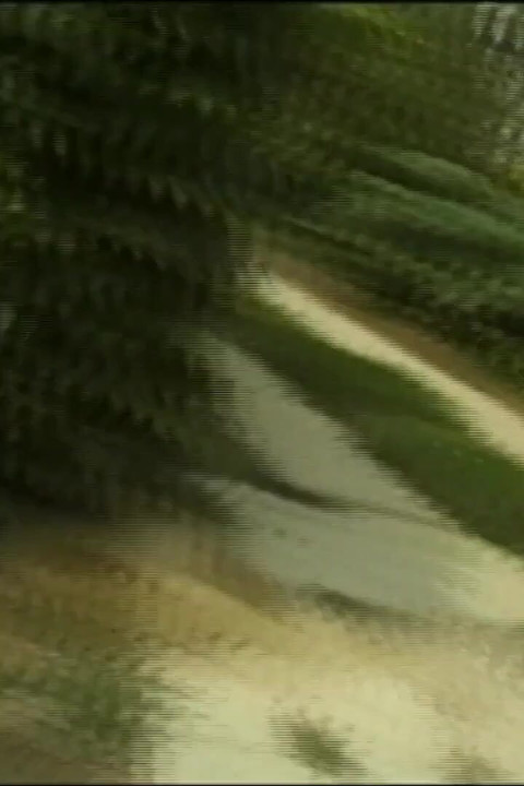 Double Penetration in the Garden