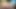 Super Slutz Turnier 2 – Roshi fickt Bulmas fetter Arsch aus Dragon Ball Z