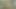 Masturbation and Cumming December 17 2024