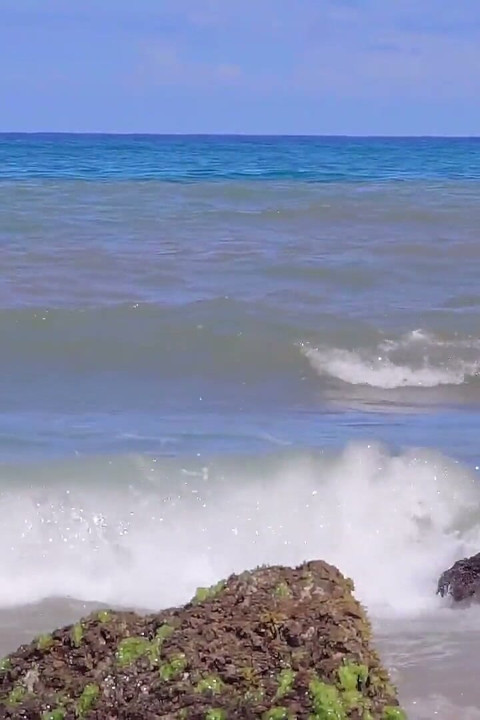 Beach Fun