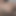SSBBW Trans Slut Thicc Cock and Thighs Close-up